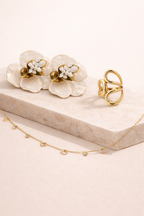 Elite Shine Combo – Premium Jewellery Combo for Women's